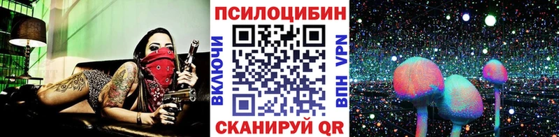 darknet какой сайт  Верхняя Пышма  Галлюциногенные грибы Magic Shrooms 