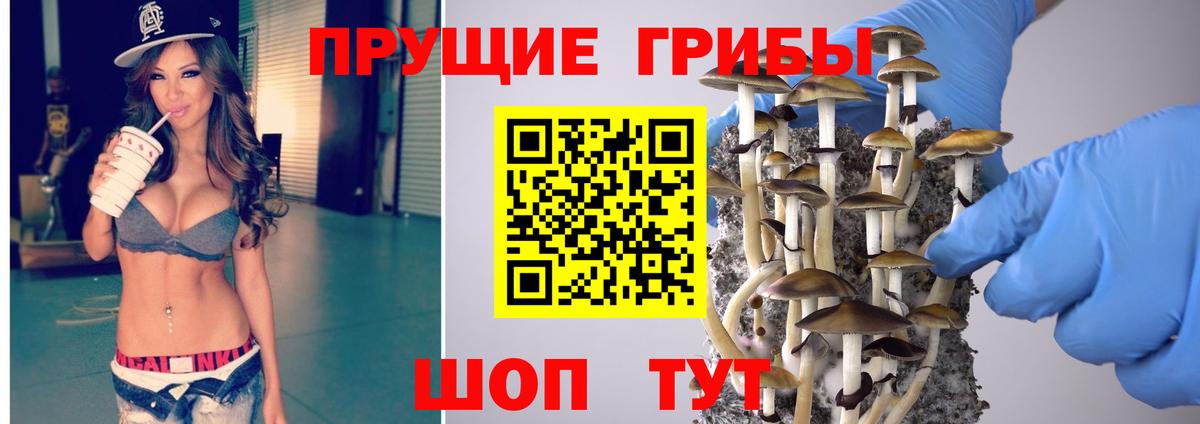 Псилоцибиновые грибы Cubensis  Вход с VPN  Верхняя Пышма 