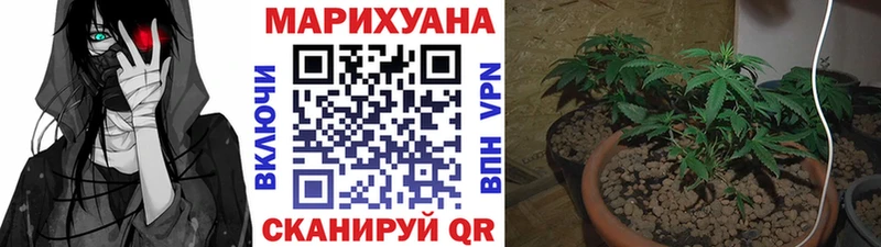 Марихуана MAZAR гидра зеркало Верхняя Пышма как найти