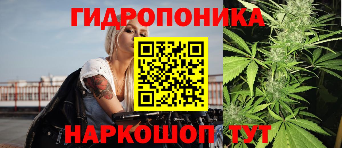 Бошки Шишки планчик Верхняя Пышма